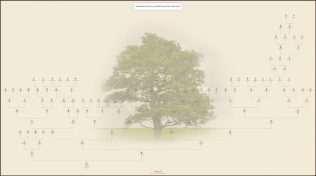 Antepassados de tereza umbelina de melo