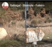 Faleiro Aldeia Fantasma